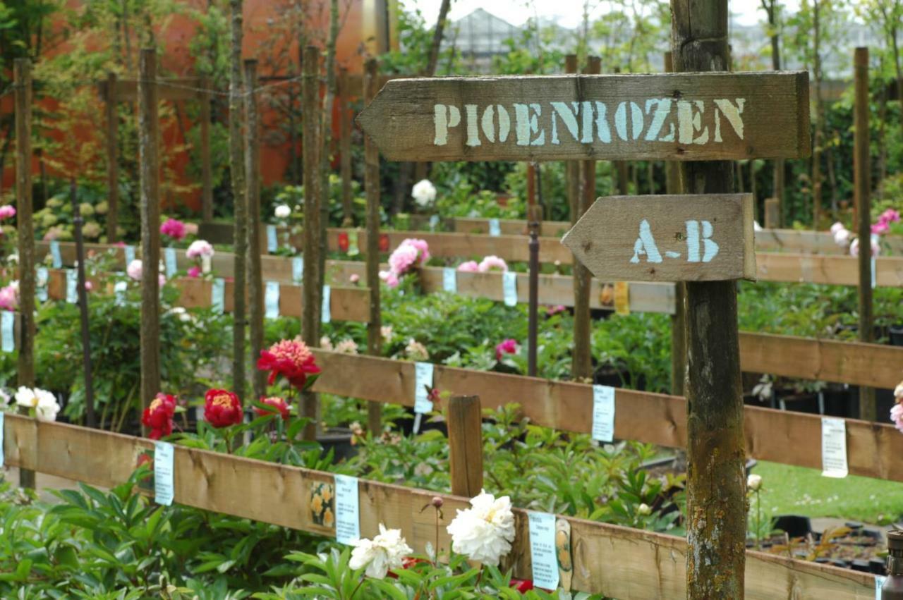 Pipowagen Overnachting Het Houten Huis زالتبومل المظهر الخارجي الصورة