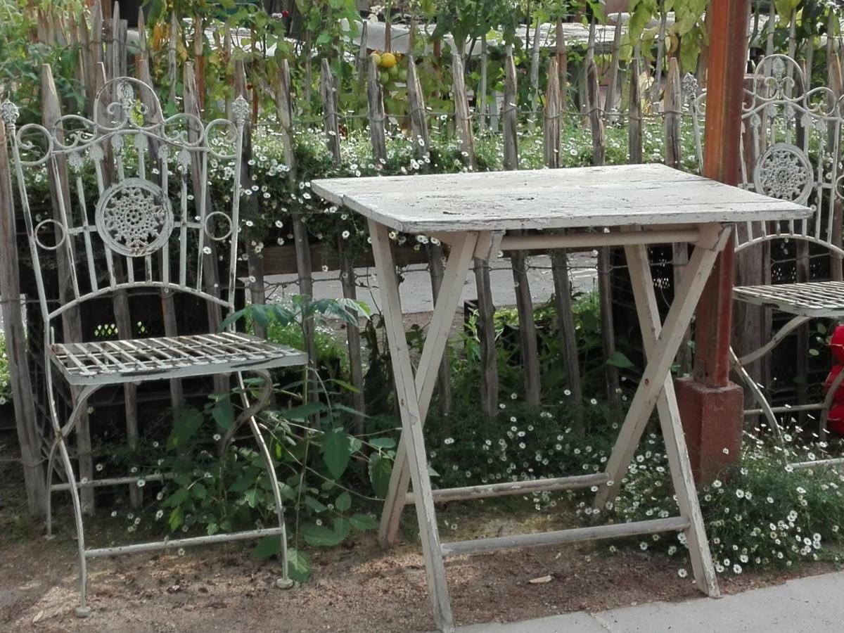 Pipowagen Overnachting Het Houten Huis زالتبومل المظهر الخارجي الصورة
